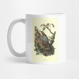 Nuthatch Mug